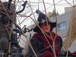 Simmeringer Faschingsumzug 2025